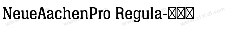 NeueAachenPro Regula字体转换